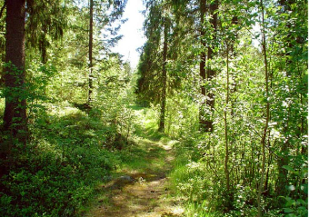 Lufta Camping & Restaurang Ånäset Bagian luar foto